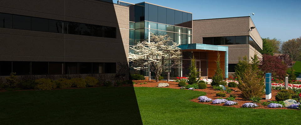 Fountain Hills Landscapers