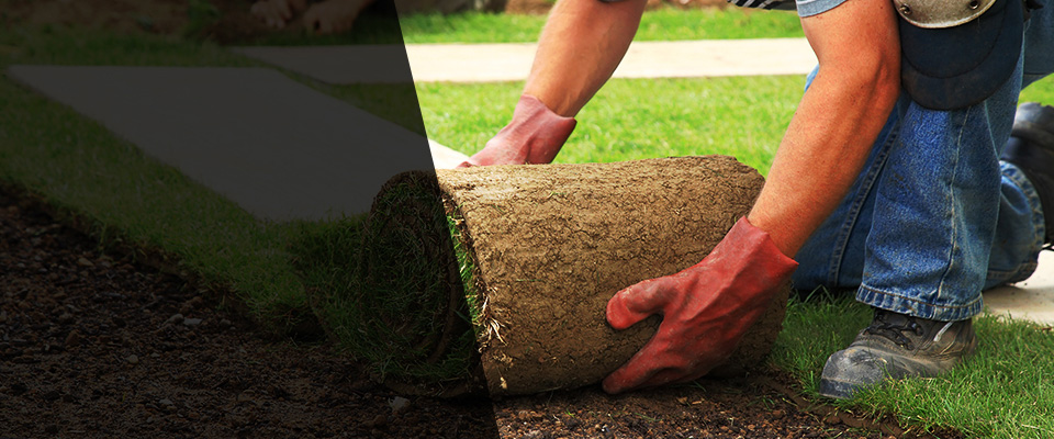 Fountain Hills Landscapers